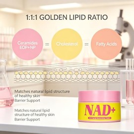 Crema NAD+ con 2% de niacinamida, crema hidratante facial Nad+ para mujeres, hombres, revitaliza la piel, ceramidas EOP y NP para soporte de barrera, 
