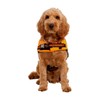 Trespaws Dog Buoyancy Aid Converts to Hi Vis Jacket Surfdog