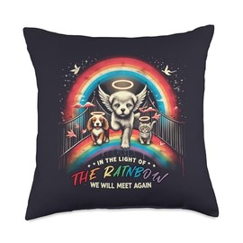 In The Light Of The Rainbow Bridge We Will Meet Again Pet Throw Pillow