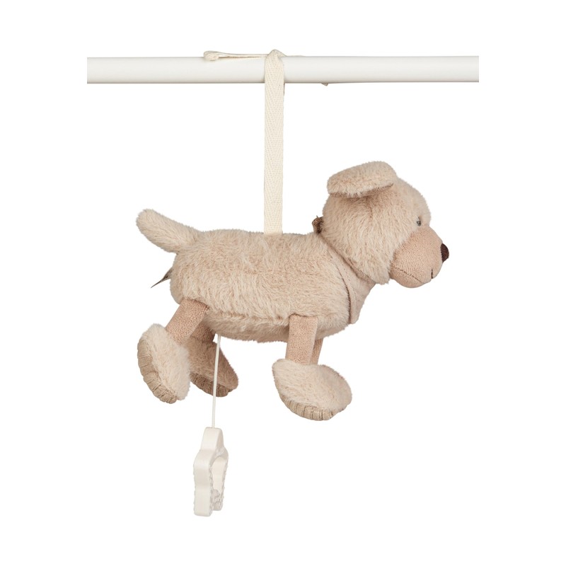 Lucky Dog Musical Box Small