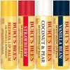 Burts Bees Best of burts bees set