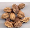 Dried Villous Amomum Fruit - Traditional Chinese Natural Herbal Tea