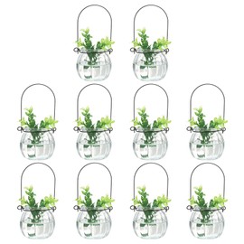 PATIKIL Pumpkin Glass Terrarium Planter 2.4 Inch, 12 Pack Air Plant Wall Hanging Pot DIY Interest Plant for Home Decor Garden Office, Clear