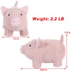 SANFERGE Cute Decorative Door Stopper for Home and Office Floor