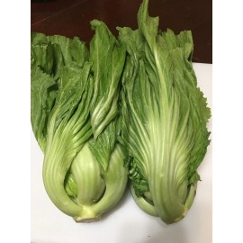 Unbranded 200+ SEEDSChinese  Mustard I Shuidong Gai Choi Shealihong I Buy 2 Get 1 Free