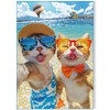 500 Pieces Jigsaw Puzzles for Adults and Teens and Kids