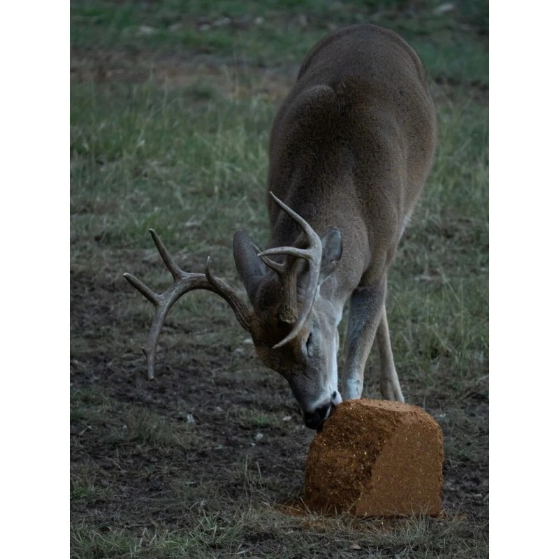 Big & J Long The Cube Range Deer Attractant Block,