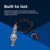Wagner Sensors O21030 Oxygen Sensor