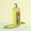 LOccitane Verbena Shower Gel Shower Gel Unisex 8.4 oz