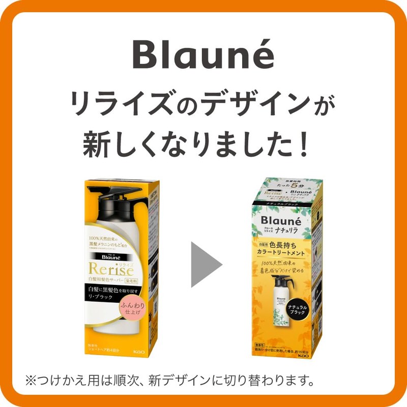 Rerise Gray Hair Color Server Re Black (Natural Blackness), Soft