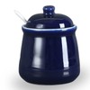 HAOTOP Porcelain Salt Bowl with Lid and Spoon,Ceramic Sugar Bowl