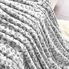 PLEASANT BOULEVARD | Leopard Throw Blanket Fleece, Premium Lightweight Cozy
