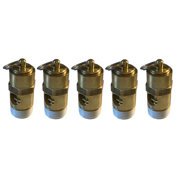 Sellerocity American Made ASME Code 5-Pack of Brass Air Compressor