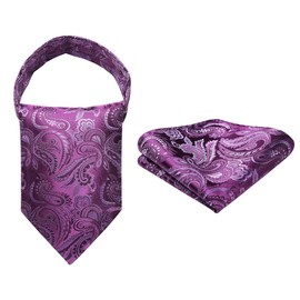 HISDERN Purple Cravat for Men Paisley Floral Cravats and Pocket Square Set Wedding Party Business Ascot Tie and Handkerchief set