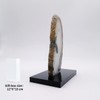 XMHOME Natural Agate Gemstone Slice Home Decor Living Room Irregular
