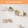 upsimples 4 Pack Acrylic Shelves for Wall Storage, 15" Floating