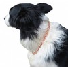 Copper Magnetic Therapy Dog Collars Made to Measure in Solid