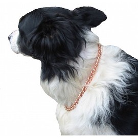 Copper Magnetic Therapy Dog Collars Made to Measure in Solid Copper with Magnets (24 inch)