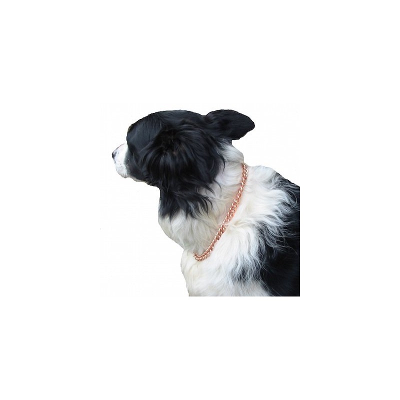Copper Magnetic Therapy Dog Collars Made to Measure in Solid