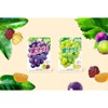 Japanese Fruits Gummy Candy Kaju Gummy Assotments 1.90oz(54g) Pack Of