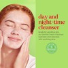 Burt's Bees Gentle Cream Cleanser with Aloe for Sensitive Skin