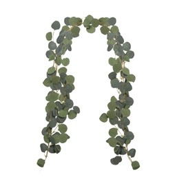 Royal Imports Artificial Silver Dollar Eucalyptus Vines, Long Greenery Leaves for Rustic Decor, Wedding Bouquet, Party, Wreath, Arch, Table Centerpiece, 2 Pcs