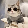 Summer 3 Piece Set for Small Dogs and Cats, Straw