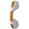 Drive DeVilbiss Healthcare Suction Cup Grab Bar with Indicator, 12 Inch