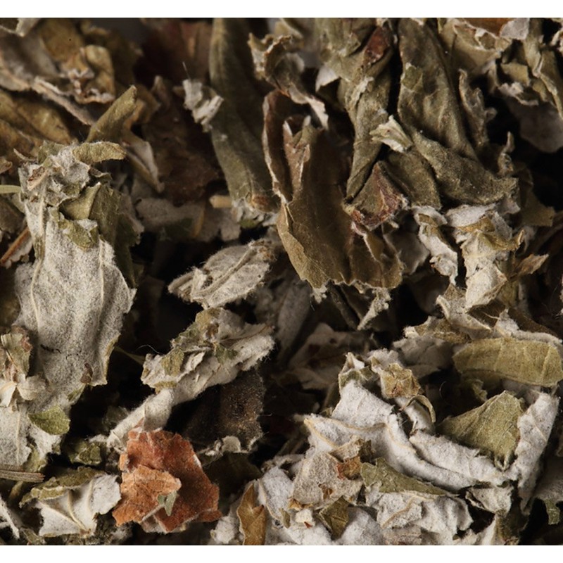 ラズベリーリーフ 50g ハーブ ティー ハーブティー オーガニック 有機JAS お茶ドライ スパイス リラックス