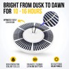 Flagpole Department Ultra Bright Solar Powered Flag Pole Light |