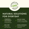 Swanson Lactobacillus Rhamnosus with FOS - Probiotic Supplement Supports Digestive