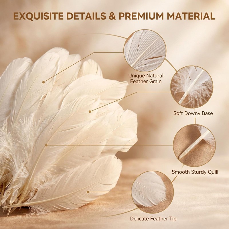 100PCS White Goose Feather 6-8inch Mixed Jewelry Making Crafts Swan