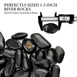 BIOMAND 18lb Black River Rocks for Plants, 1-3 Inch Pebbles for Indoor Plants, Polished Garden Rocks Outdoor Landscaping, Decorative Stones for Vases, Succulents, Aquarium, Walkways
