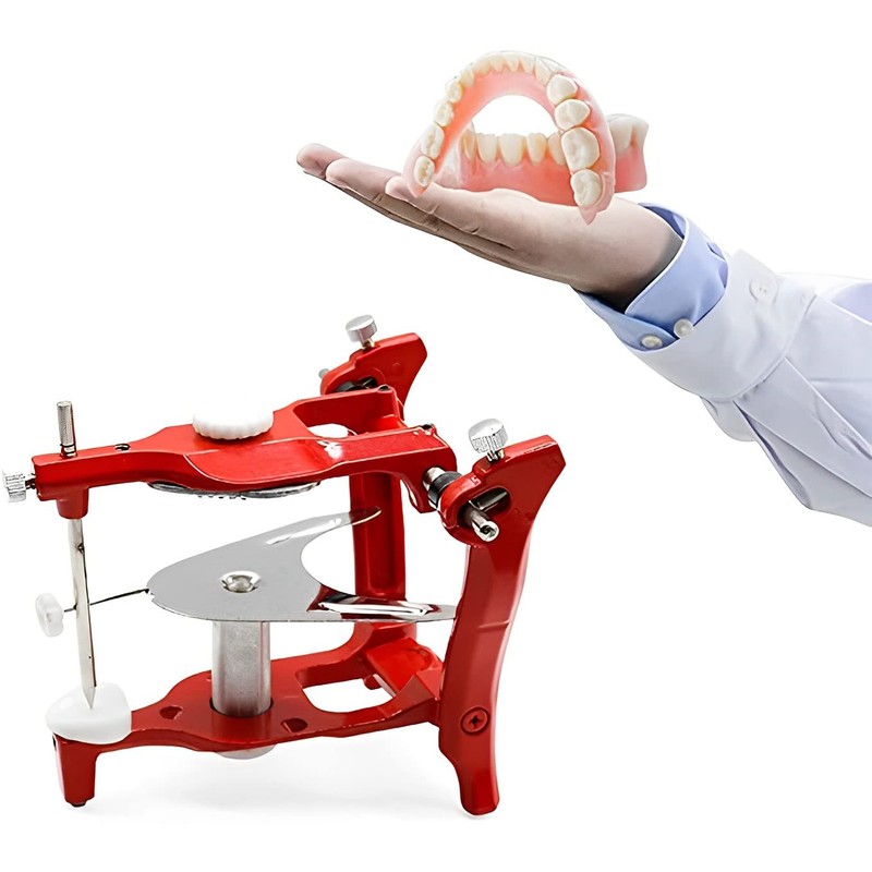 Articulator for Denture Model Lab Equipment Product European Type
