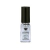 Painting Diamond Diamo Nail