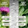 Cardo Mariano, NAC y Ácido Alfa Lipoico de Homodeus, 180