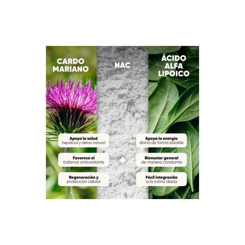 Cardo Mariano, NAC y Ácido Alfa Lipoico de Homodeus, 180