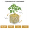 Aatacas 1.5 Inch Rockwool Cubes, Hydroponic Grow Media for Vigorous