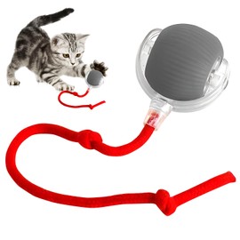 Smart Rolling Ball for Dogs and Cats - Automatic Pet Toy with 360° Rotating Action and USB Charging - Durable and Interactive Entertainment for Pets