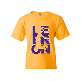 Beach Open L23 Fan Wear 23 LA Basketball DT Youth Kid T-Shirt Tee (Small, Gold/Purple)