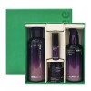 Innisfree 이니스프리 퍼펙트 9 인텐시브 2종 세트 Innisfree Perfect 9 Intensive 2-Piece Set