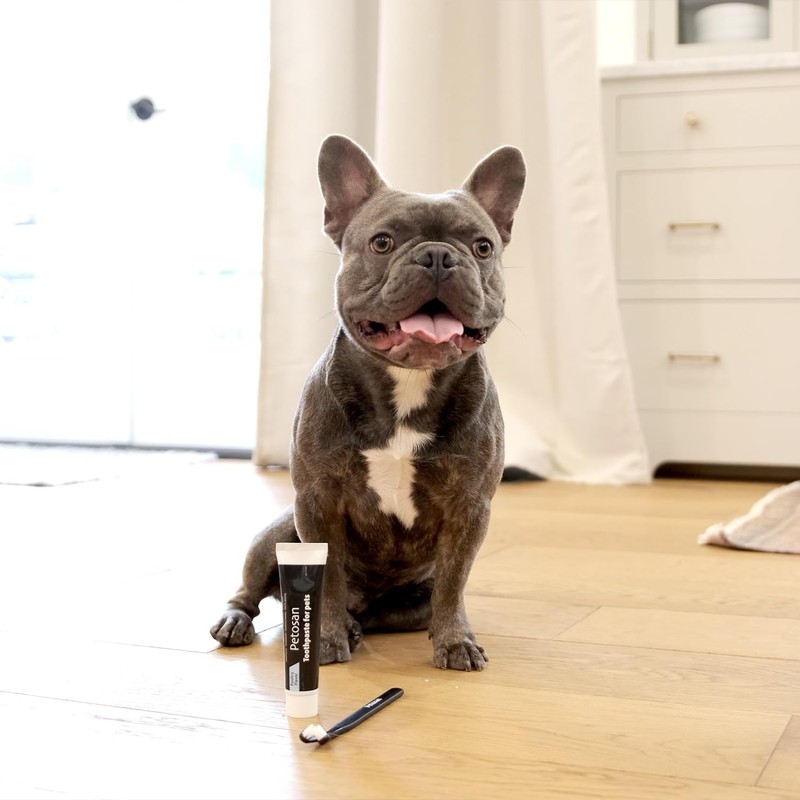 Petosan Dental Care Kit for Medium Dogs