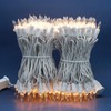 SWEET SHINE Clear Incandescent Christmas Lights, 66 Ft White Wire