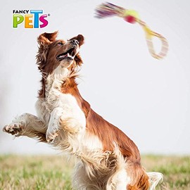 Fancy Pets Juguete con Aro Pelota de Tenis y Nudo de Cuerda para Perro Mide 40 Centímetros