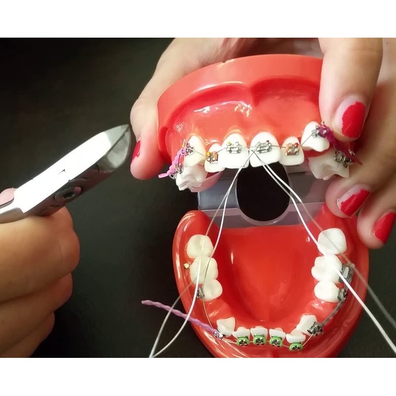 BELEON BELEON Braces Wire Orthodontic Dental Ligature Wire for Braces