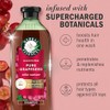 Herbal Essences Champú De Semilla De Uva Sin Sulfatos, 13,5