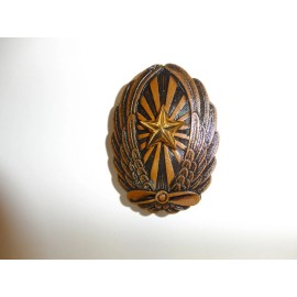 e2685 WW2 Japan Japanese Army Pilot Breast Badge Bronze class R17D