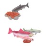 Bnineteenteam Growth Cycle Model Material Safe Odorless Vivid Real Salmon