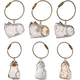 6Pcs Cat Hair Holder Keychain, Pet Fur Storage Bottle, Cat Fur Keepsake Capsule Collector Toys Memorial Keychain for Collecting Kitten Hair