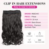 REECHO 20" 1-Pack 3/4 Full Head Curly Wave Clips in